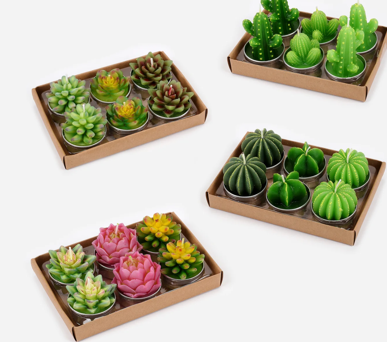 Succulent Tea Light S/6 - Tablescape