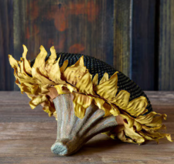 Sunflower Head